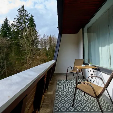 Apartment Modern, Gemuetlich, Panorama, Pool & Sauna, Netflix